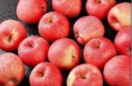 苹果属于什么水果 苹果属于什么水果（苹果属于什么属性的水果） 生活