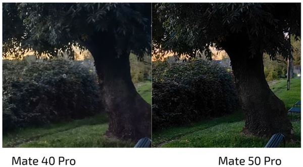 华为Mate50 Pro和荣耀Magic4拍照对比（荣耀magic3拍照对比华为p50pro）