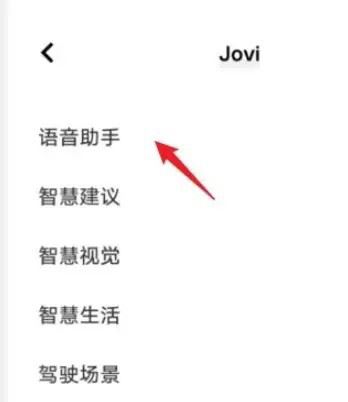 vivo手机如何设置jovi（VIVO手机如何设置红包提示音）