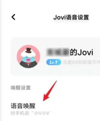 vivo手机如何设置jovi（VIVO手机如何设置红包提示音）