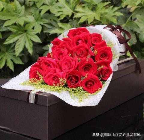 19朵红玫瑰代表什么 19朵红玫瑰代表什么（十朵红玫瑰代表什么意思） 生活