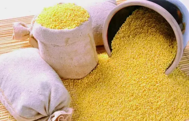 小米的功效与作用 小米的功效与作用，黄小米的功效与作用 生活