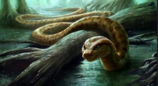 蛇的寿命 蛇的寿命  蛇的寿命最长能活多少年 生活
