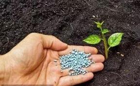 氮肥的作用 氮肥的作用（氮肥的作用及使用方法） 生活