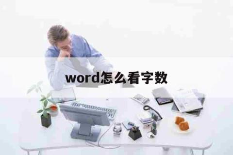 word怎么看字数「word怎么看字数统计」 生活