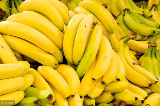 香蕉有种子吗 香蕉有种子吗（香蕉有种子吗中班健康教案） 生活