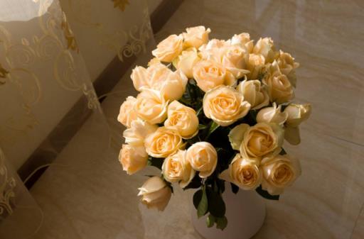 香槟玫瑰 香槟玫瑰，香槟玫瑰和向日葵花束的寓意 生活