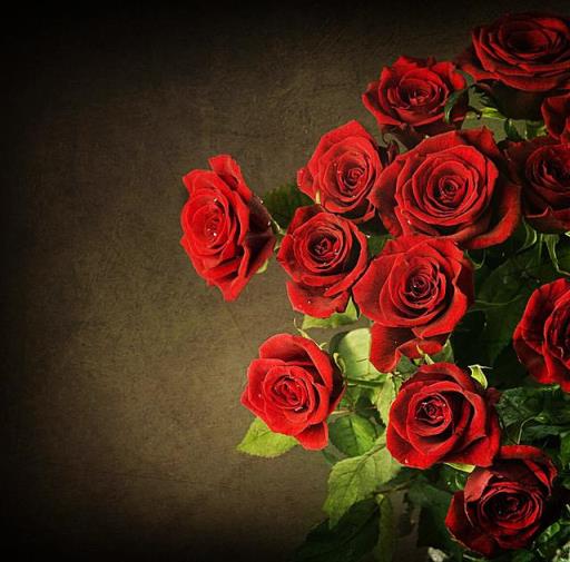 1朵玫瑰代表什么（1朵玫瑰代表什么意思） 生活